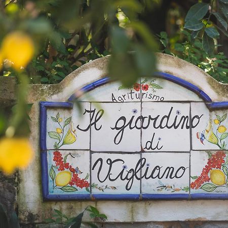 Agriturismo Il Giardino Di Vigliano Massa Lubrense Exteriör bild
