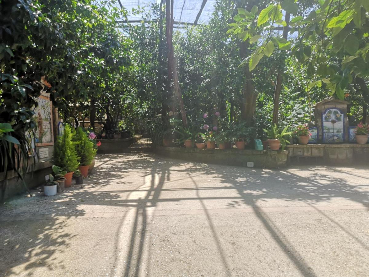 Agriturismo Il Giardino Di Vigliano Massa Lubrense Exteriör bild