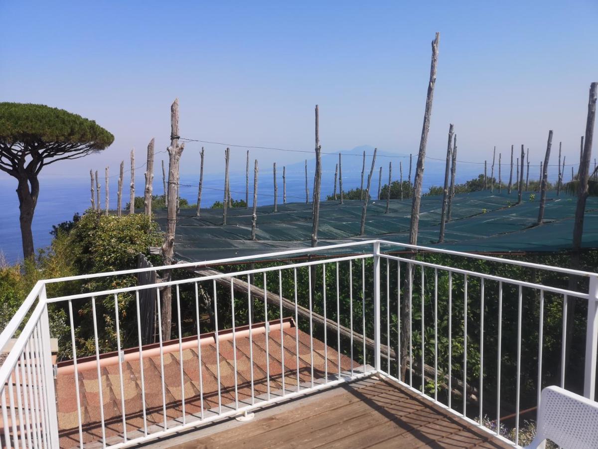 Agriturismo Il Giardino Di Vigliano Massa Lubrense Exteriör bild