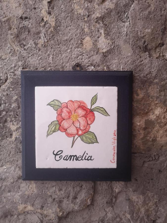 Agriturismo Il Giardino Di Vigliano Massa Lubrense Exteriör bild