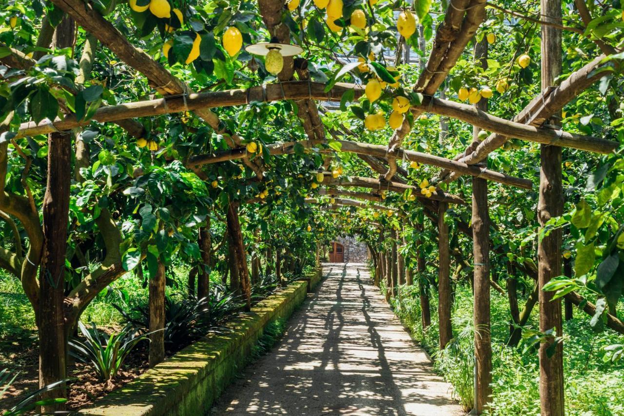 Agriturismo Il Giardino Di Vigliano Massa Lubrense Exteriör bild