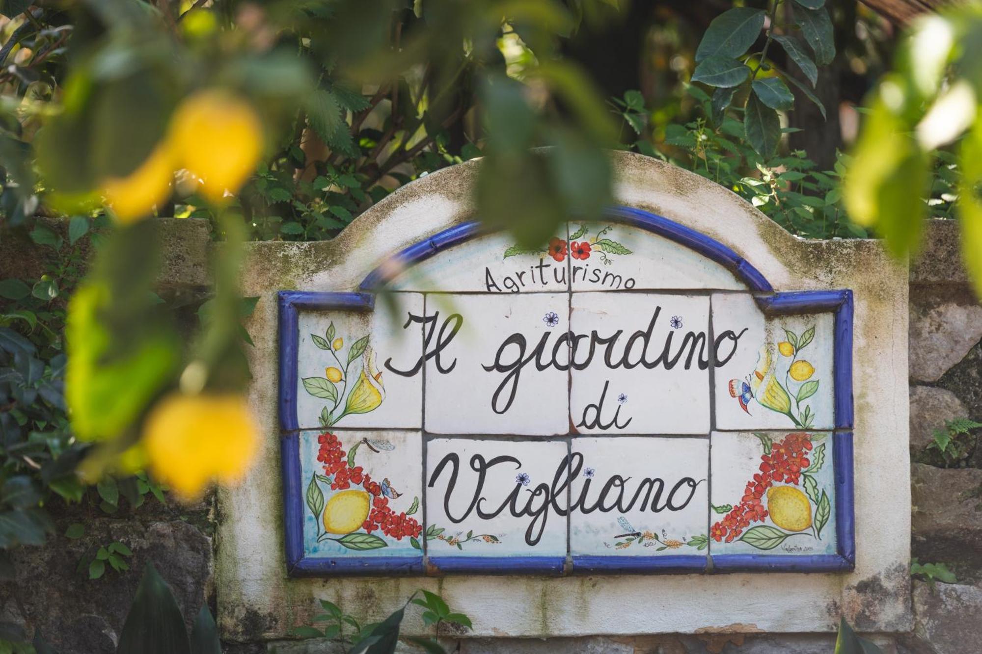 Agriturismo Il Giardino Di Vigliano Massa Lubrense Exteriör bild